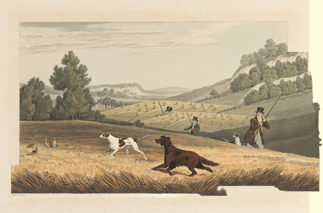 Matthew Dubourg – "Partridge Shooting" (1822), fot. Yale Center for British Art
