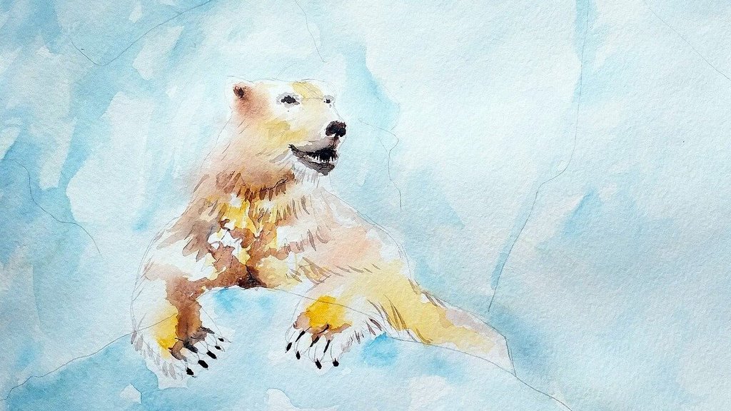 Niedźwiedź polarny to jeden z najbardziej narażonych na wyginięcie przez zmiany klimatu gatunków grenlandzkiej fauny, fot. Victoria Borodinova/Pixabay