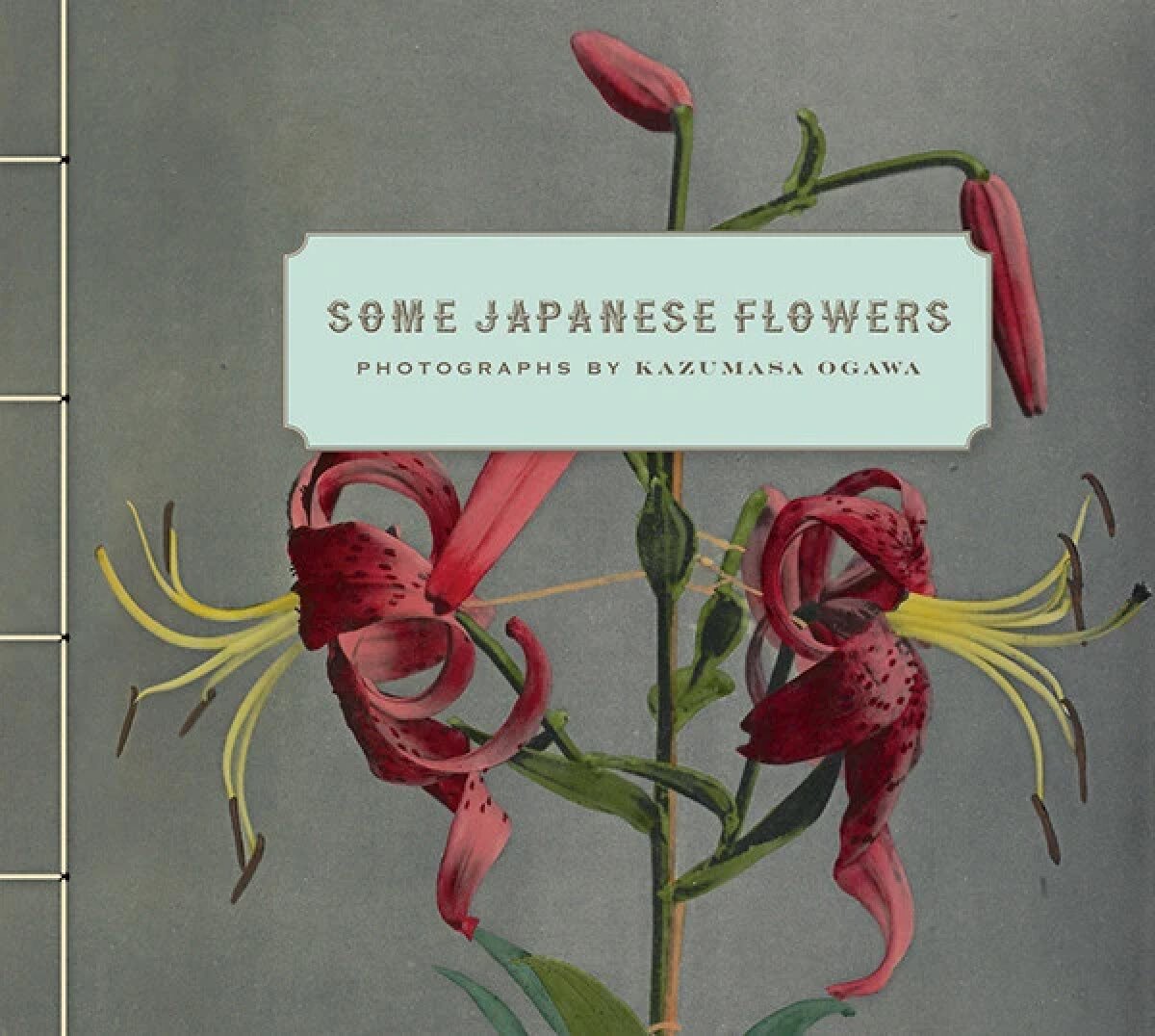 Kazumasa Ogawa, Some Japanese Flowers, J. Paul Getty Museum