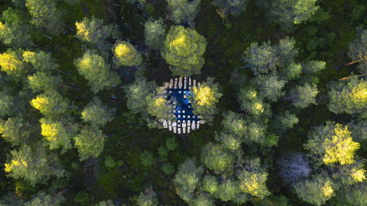 Biosphere – „domek na drzewie” od Bjarkego Ingelsa